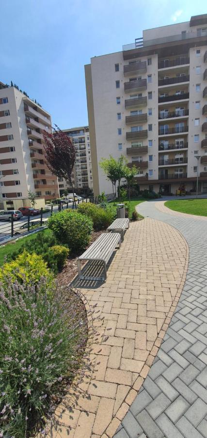 Apartment Alios Lux Braszów Zewnętrze zdjęcie