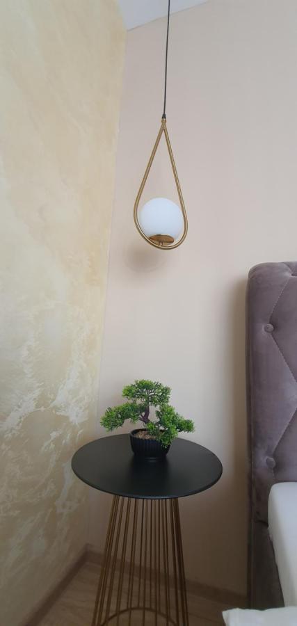 Apartment Alios Lux Braszów Zewnętrze zdjęcie