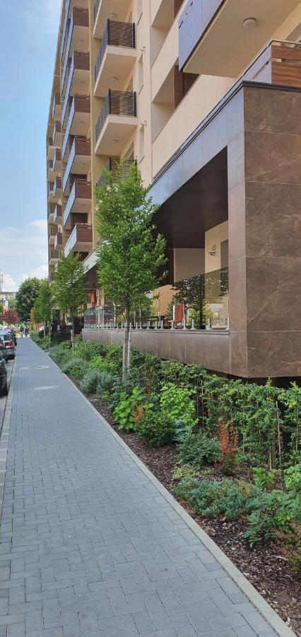 Apartment Alios Lux Braszów Zewnętrze zdjęcie
